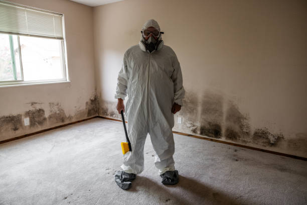 Best Mold Remediation for Specific Building Types in Silverton, OR